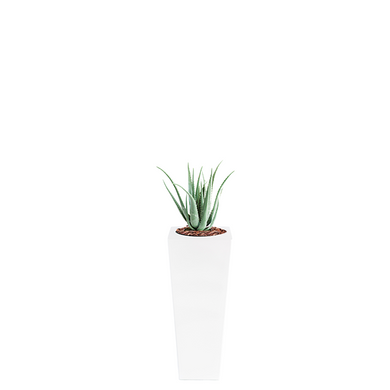 Plant Couture - Artificial Plant & Pot Combo - Armani B with Aloe 70cm