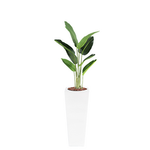Load image into Gallery viewer, Plant Couture - Artificial Plant &amp; Pot Combo - Armani B with Bird of Paradise 120cm
