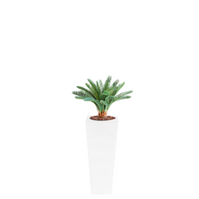 Load image into Gallery viewer, Plant Couture - Artificial Plant &amp; Pot Combo - Armani B with Cycas 72cm
