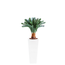 Load image into Gallery viewer, Plant Couture - Artificial Plant &amp; Pot Combo - Armani B with Cycas 93cm

