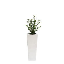 Load image into Gallery viewer, Plant Couture - Artificial Plant &amp; Pot Combo - Armani B with Green Joy Plant 80cm
