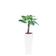 Load image into Gallery viewer, Plant Couture - Artificial Plant &amp; Pot Combo - Armani B with Philodendron 90cm
