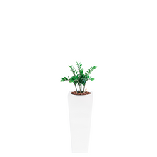Load image into Gallery viewer, Plant Couture - Artificial Plant &amp; Pot Combo - Armani B with Zamifolia 64cm
