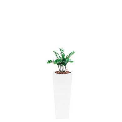 Plant Couture - Artificial Plant & Pot Combo - Armani B with Zamifolia 64cm