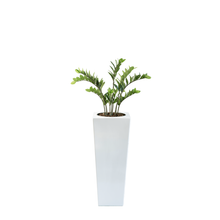 Load image into Gallery viewer, Plant Couture - Artificial Plant &amp; Pot Combo - Armani B with Zamifolia 87cm
