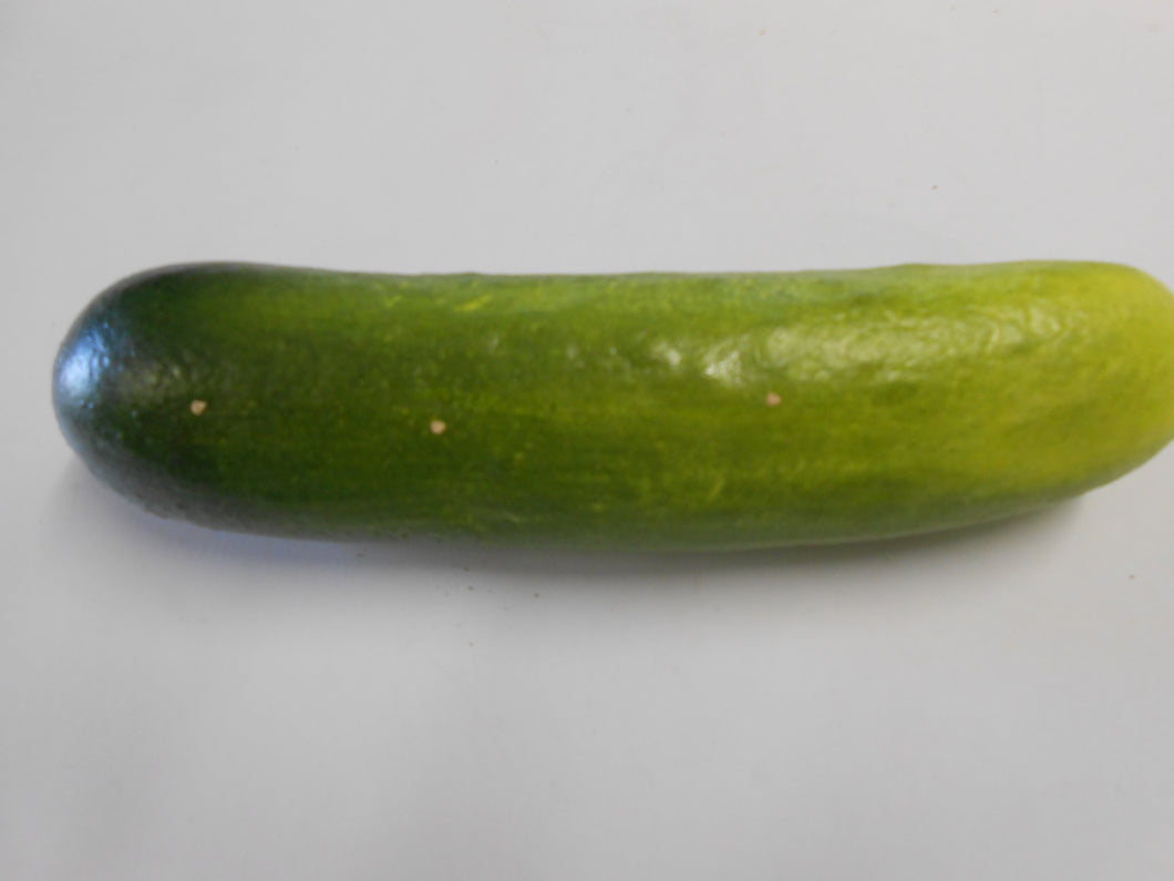 Cucumber-Green/Yellow