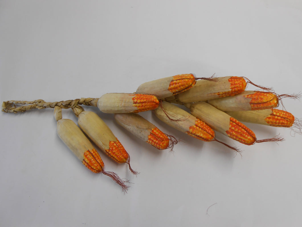 Corn on the Cob String - Cream