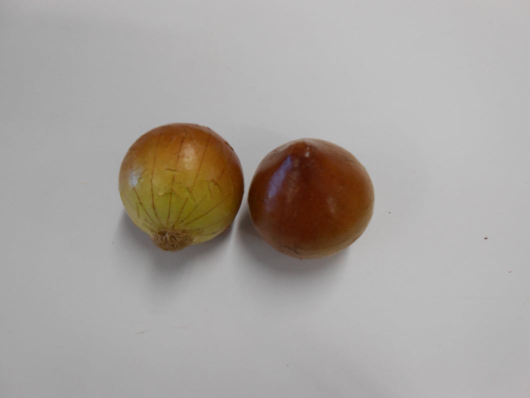 Artificial Onions Loose-Small