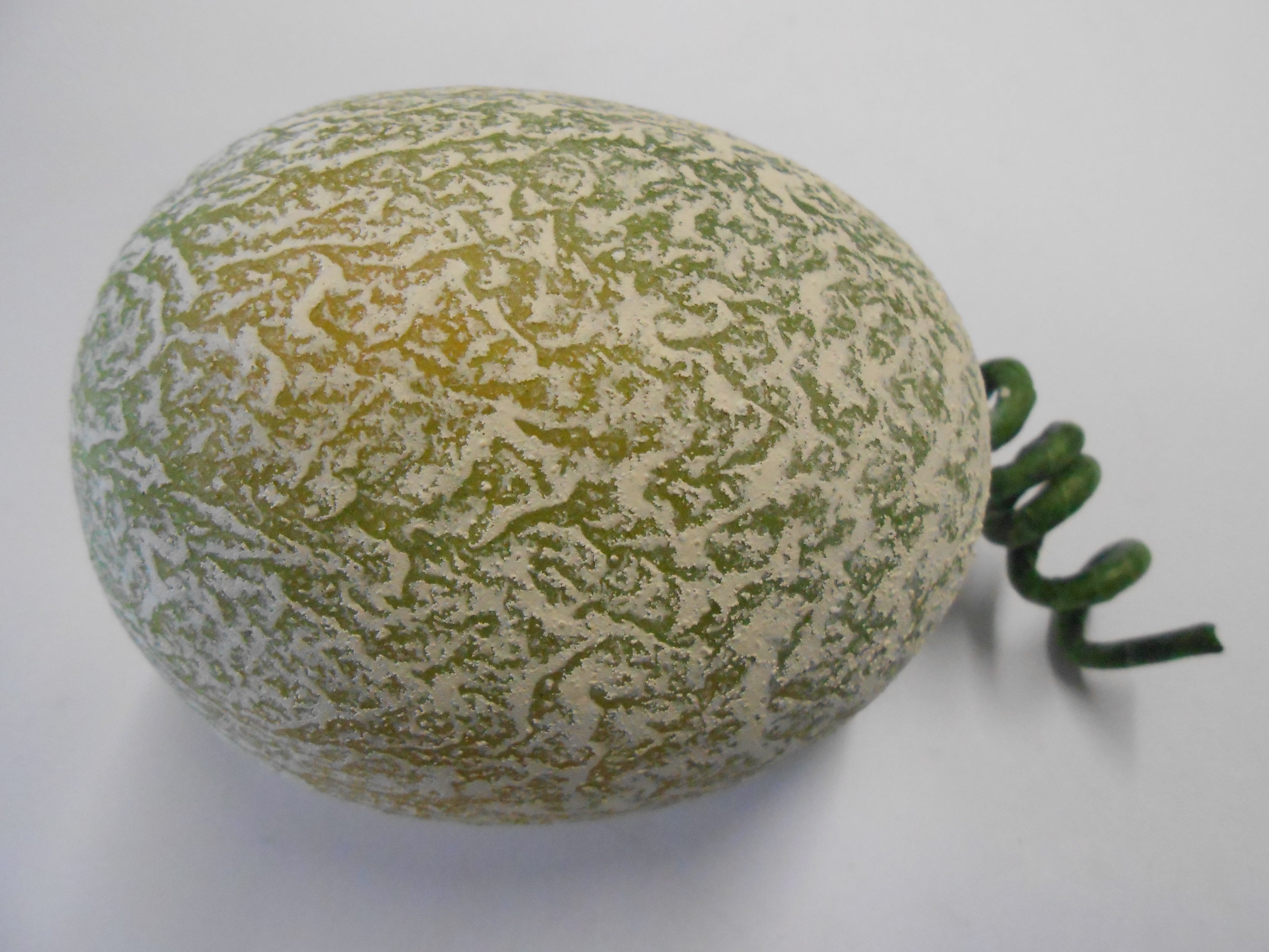 Spanspek Ranke Melons / Spanspek – Green Design