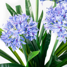 Load image into Gallery viewer, Plant Couture - Artificial Plants - Agapanthus 103cm - Close Up Of Flowers , Leaves And Stems 
