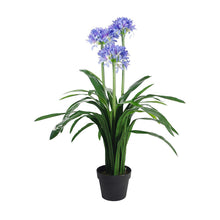 Load image into Gallery viewer, Plant Couture - Artificial Plants - Agapanthus 103cm - Front 
