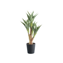 Load image into Gallery viewer, Plant Couture - Artificial Plant &amp; Pot Combo - With Agave 4-head 105cm
