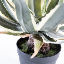Load image into Gallery viewer, Plant Couture - Artificial Plants - Agave 45cm  - Close Up Of Base 
