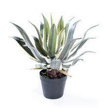 Load image into Gallery viewer, Plant Couture - Artificial Plants - Agave 45cm 
