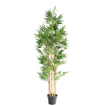 Load image into Gallery viewer, Plant Couture - Artificial Plants - Bamboo Tree 180cm
