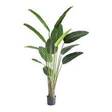 Load image into Gallery viewer, Plant Couture - Artificial Plants - Bird Of Paradise Tree 180cm
