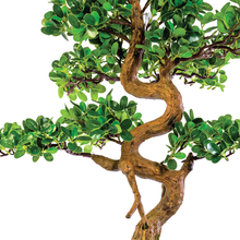 Load image into Gallery viewer, Plant Couture - Artificial Plants - Bonsai Tree 68cm Close Up 
