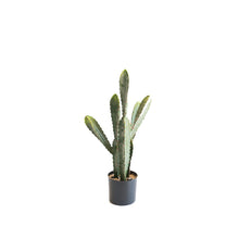 Load image into Gallery viewer, Plant Couture - Artificial Plants - Cactus 59cm
