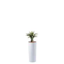 Load image into Gallery viewer, Plant Couture - Artificial Plant &amp; Pot Combo - Cardin B with Agave 55cm
