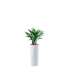 Load image into Gallery viewer, Plant Couture - Artificial Plant &amp; Pot Combo - Cardin B with Agave 90cm
