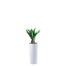 Load image into Gallery viewer, Plant Couture - Artificial Plant &amp; Pot Combo - Cardin B with Agave Middle 90cm
