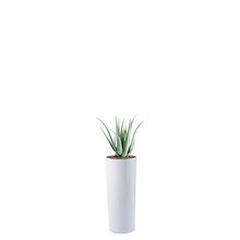 Load image into Gallery viewer, Plant Couture - Artificial Plant &amp; Pot Combo - Cardin B with Aloe 70cm
