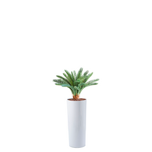 Load image into Gallery viewer, Plant Couture - Artificial Plant &amp; Pot Combo - Cardin B with Cycas 72cm

