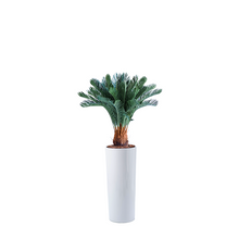 Load image into Gallery viewer, Plant Couture - Artificial Plant &amp; Pot Combo - Cardin B with Cycas 93cm
