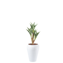 Load image into Gallery viewer, Plant Couture - Artificial Plant &amp; Pot Combo - Dahla B with Agave 4-head 105cm
