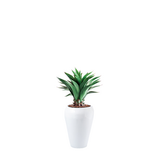 Load image into Gallery viewer, Plant Couture - Artificial Plant &amp; Pot Combo - Dahla B with Agave 90cm
