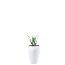 Load image into Gallery viewer, Plant Couture - Artificial Plant &amp; Pot Combo - Dahla B with Aloe 70cm
