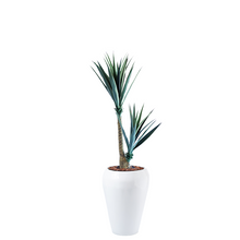 Load image into Gallery viewer, Plant Couture - Artificial Plant &amp; Pot Combo - Dahla B with Yucca 2-head 130cm
