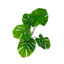 Load image into Gallery viewer, Plant Couture - Artificial Plants - Monstera 53cm Real Touch - Top 
