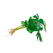 Load image into Gallery viewer, Plant Couture - Artificial Plants - Delicious Monster 30cm - Side 
