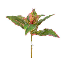 Load image into Gallery viewer, Plant Couture - Artificial Plants - Diffenbachia 44cm Green &amp; Pink - Front 
