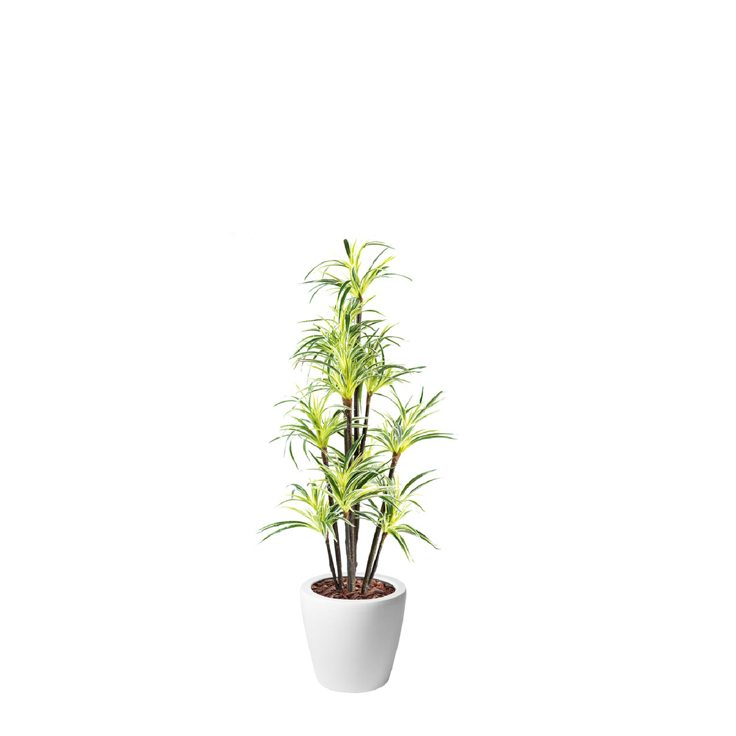 Plant Couture - Artificial Plant & Pot Combo - Dior B with Dracaena Fragrance 160cm