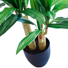 Load image into Gallery viewer, Plant Couture - Artificial Plants - Dracaena 80cm - Close Up 
