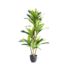 Load image into Gallery viewer, Plant Couture - Artificial Plants - Dracaena 130cm
