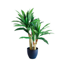 Load image into Gallery viewer, Plant Couture - Artificial Plant &amp; Pot Combo - With Dracaena 80cm
