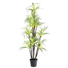 Load image into Gallery viewer, Plant Couture - Artificial Plant &amp; Pot Combo -With Dracaena Fragrance 160cm
