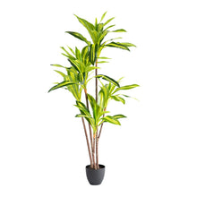 Load image into Gallery viewer, Plant Couture - Artificial Plants - Dracaena Variegated 160cm
