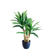 Load image into Gallery viewer, Plant Couture - Artificial Plants - Dracaena 80cm
