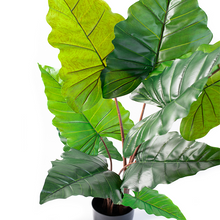 Load image into Gallery viewer, Plant Couture - Artificial Plants - Elephant Ear 120cm - Top 
