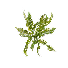 Load image into Gallery viewer, Plant Couture - Artificial Plants - Fern 40cm - Top 
