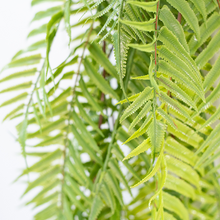 Load image into Gallery viewer, Plant Couture - Artificial Plants - Hanging Sword Fern 120cm - Close Up Of Leaves 
