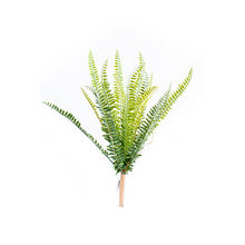 Load image into Gallery viewer, Plant Couture - Artificial Plants - Fern Bush 52cm
