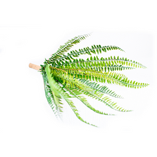 Load image into Gallery viewer, Plant Couture - Artificial Plants - Fern Bush 52cm - Close Up
