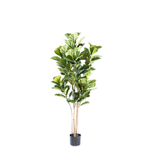 Load image into Gallery viewer, Plant Couture - Artificial Plants - Fidlle Leaf Ficus 155cm

