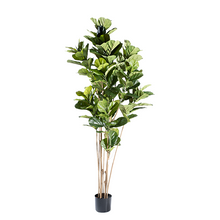 Load image into Gallery viewer, Plant Couture - Artificial Plants - Fidlle Leaf Ficus 180cm
