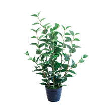 Load image into Gallery viewer, Plant Couture - Artificial Plants - Green Joy 80cm
